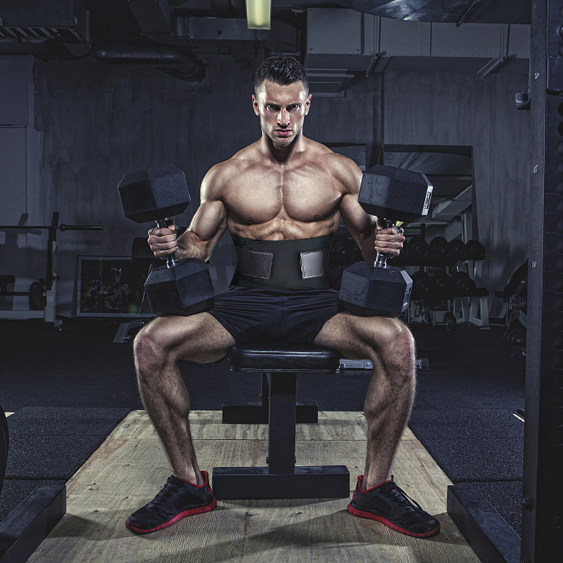 FitNexa Back Support Belt