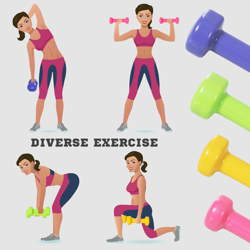 Multicolor PU Dumbbell Set with Carry Case – 8 Piece