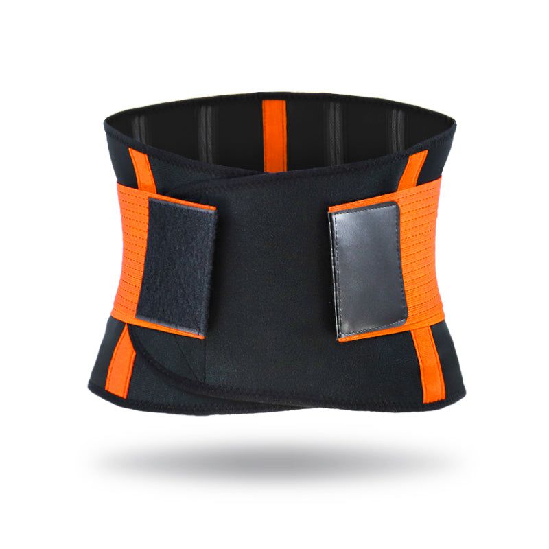 FitNexa Back Support Belt